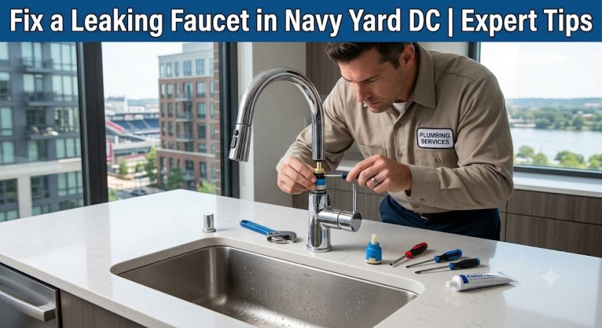Fix a Leaking Faucet in Navy Yard DC | Expert Tips